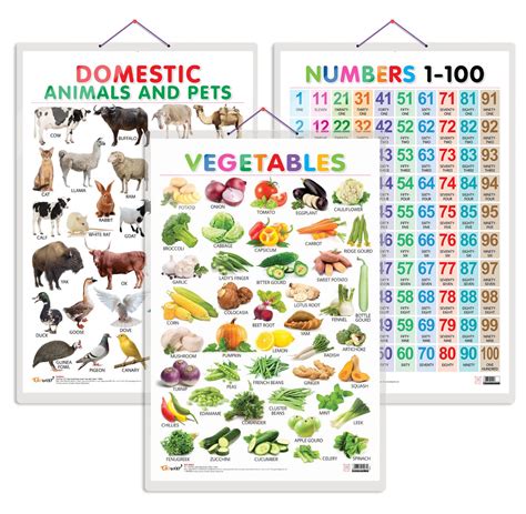JoGenii|Set-of-3-Vegetables,-Domestic-Animals-and-Pets-and-Numbers-1 ...