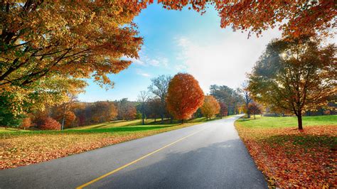 Fall Nature Desktop Backgrounds 的图像结果