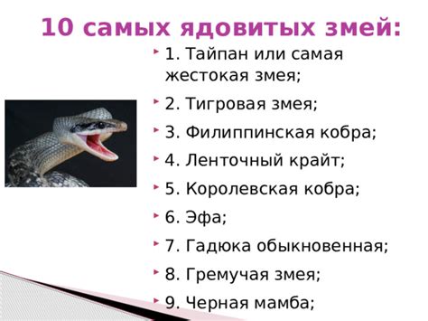 Презентация к уроку ОБЖ по теме: "Змеи" - обж, презентации