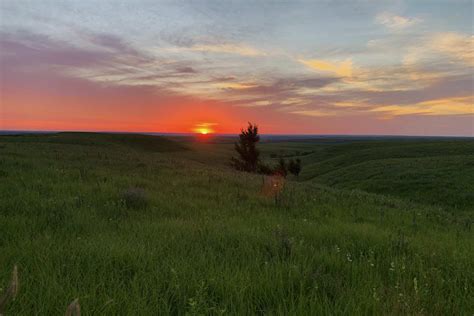 Secrets Of Kansas's Konza Prairie Fire Ecology | TouristSecrets