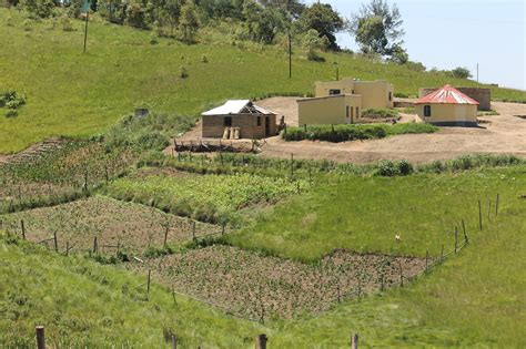 Rural Area 的图像结果