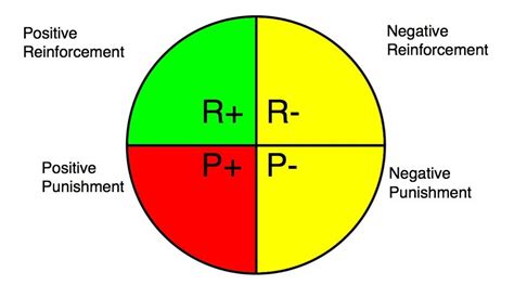 Image result for Quadrants of Operant Conditioning