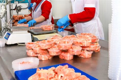 Image result for Fish Factory Tour