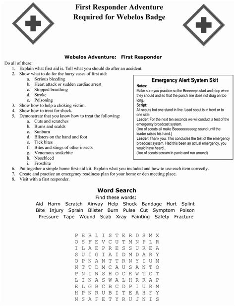 Camping Merit Badge Worksheet 2017 | Boy scouts merit badges, Cub ...