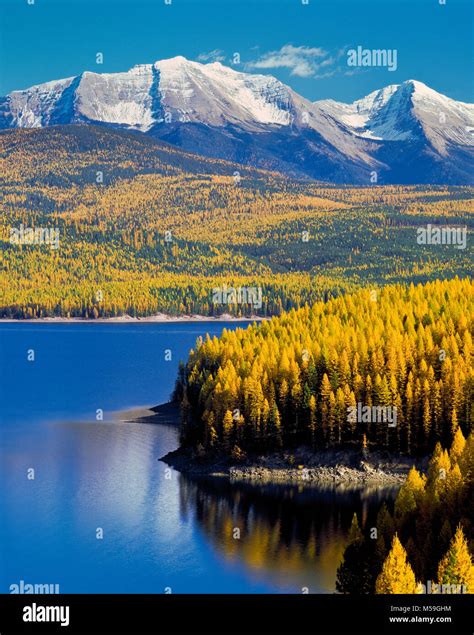 hungry horse reservoir below golden larch and peaks of the flathead ...