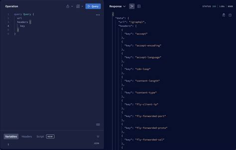 Graphql Request 的图像结果