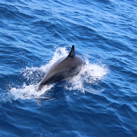 Medina Palms | Our Activities