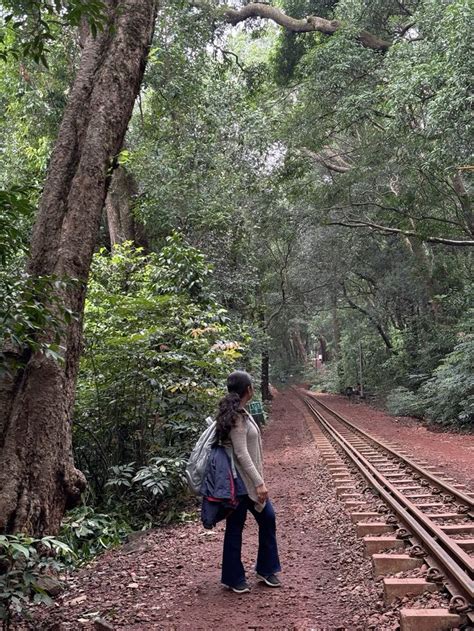 Matheran Monsoon Adventure Camp -Ahmedabad - Venture Adventure