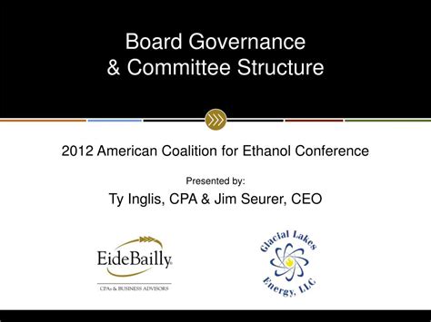 Governance Committee 的图像结果