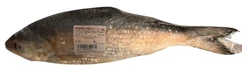 More Reg Fish - Hilsa (Net Wt: 500gm, Gross Wt: 780gm) : Amazon.in ...