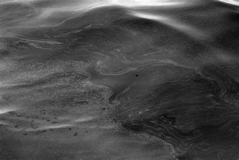 Biotech Website Design 的图像结果