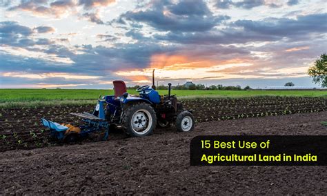 Top 10 Agricultural Districts in TamilNadu: A Comprehensive Overview