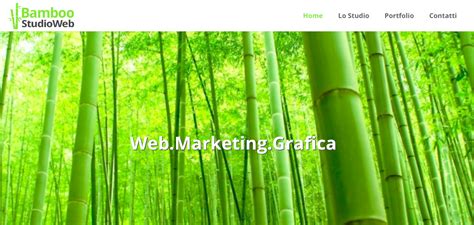 Image result for Divi Theme Examples