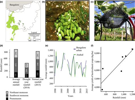 Diversity matters: Effects of density compensation in pollination ...