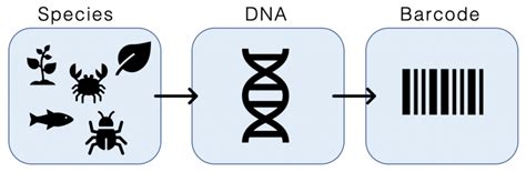 Image result for DNA Barcoding Plants