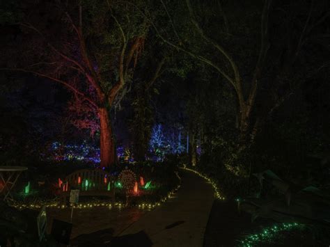 Heathcote Botanical Gardens- Green Heart of the Treasure Coast