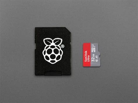 SanDisk MicroSD Card Class 10 with Raspberry Pi OS pre-installed ...