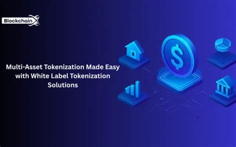 Multi-Asset Tokenization Made Easy with White Label Tokenization ...