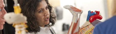 Grad-School Biomedical Engineering 的图像结果