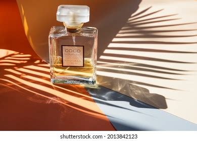 Image result for Coco Key Logo