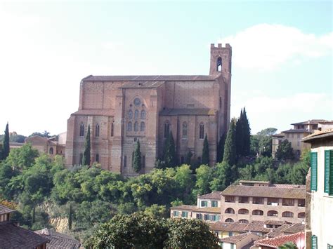 Image result for Python Siena