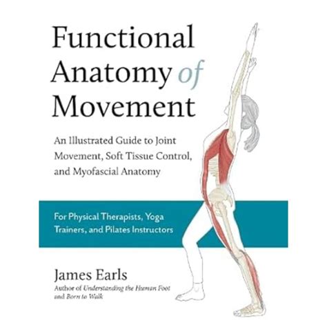 Buy Functional Anatomy of Movement: An Illustrated Guide to Joint ...