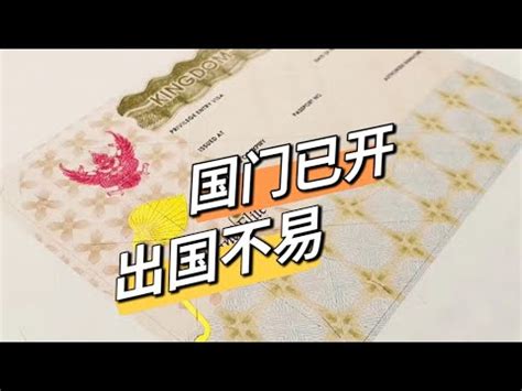 泰生活：中国国门已开，但中国人出国依然不容易，签证更难办了。 - YouTube