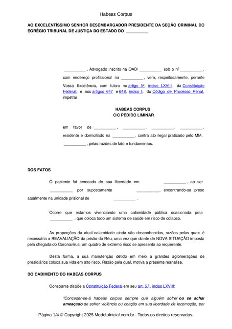 Modelo Habeas Corpus - 2024