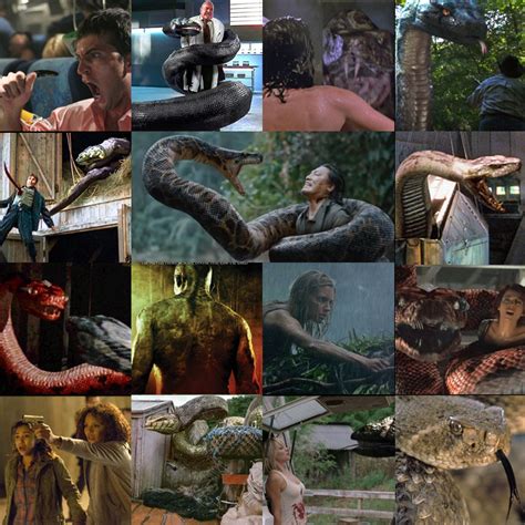 Python Horror Movies 的图像结果