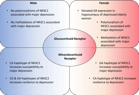 Gender Differences in Cortisol and Cortisol Receptors in Depression: A ...