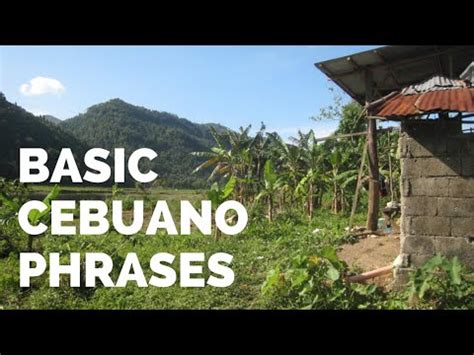 Learn How to Speak Bisaya - Basic Cebuano Phrases - YouTube