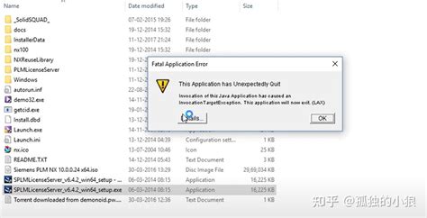 Java.lang.reflect.invocationtargetexception 的图像结果