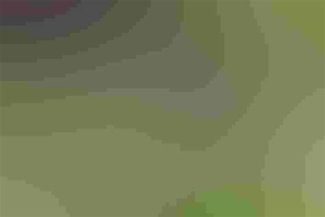 Image result for jvL in JavaScript