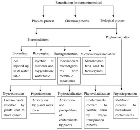 Global Situation of Bioremediation of Leachate-Contaminated Soils by ...