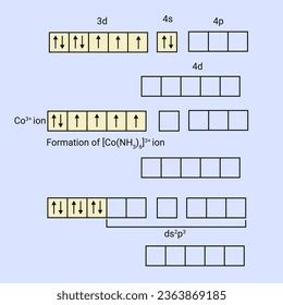 Image result for Hybridization Tutorials