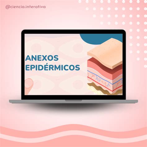 Anexos epidérmicos – Ciência Interativa