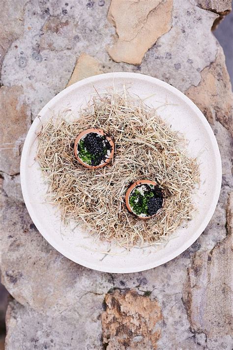 BELTANA FARM (Pialligo) - Hotel Reviews, Photos, Rate Comparison ...