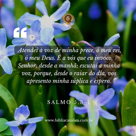 Arquivo Catecismo - Bíblia Católica Online