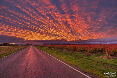 Weather Lynden Wa Things To Do In Lynden, Washington In Whatcom County