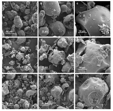 Tannin-Derived Hard Carbon for Stable Lithium-Ion Anode