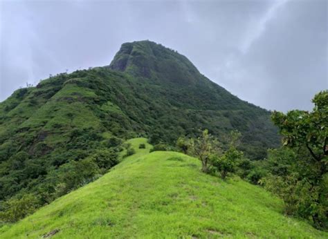 15 Best Trekking Places Near Pune for the Adventurer in You