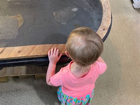 4-H TIDELANDS NATURE CENTER (2026) All You Need to Know BEFORE You Go ...