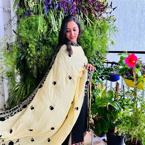 Hand Embroidered Chiffon Dupatta - Beige With Black Threadwork – Phulari