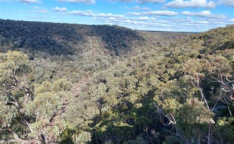 THE DHARAWAL NATIONAL PARK (2026) All You Need to Know BEFORE You Go ...