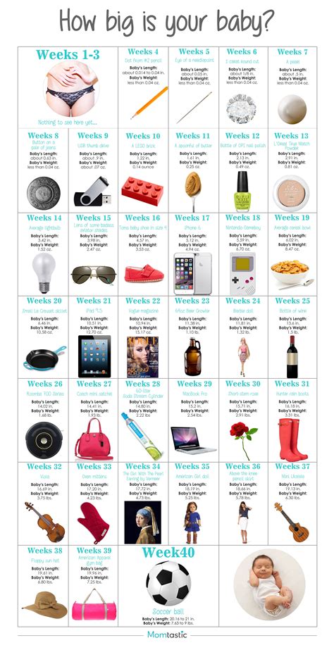 Pregnancy Week by Week: How Big Is Your Baby This Week? | Pregnancy guide, Baby weeks, Pregnancy ...