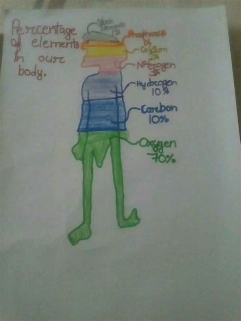 Percentage of different elements in our body. | Body, Our body, Chemistry