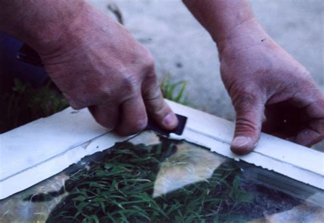 Image result for Window Putty Linseed