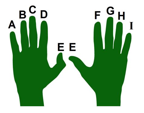 Image result for Computer Typing Finger Position
