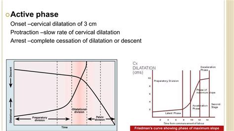 Stages of labour | PPTX