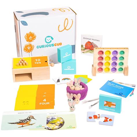 Buy Curious Cub Montessori Learning Wooden Toys Box | Box 11: 1.5-2 ...